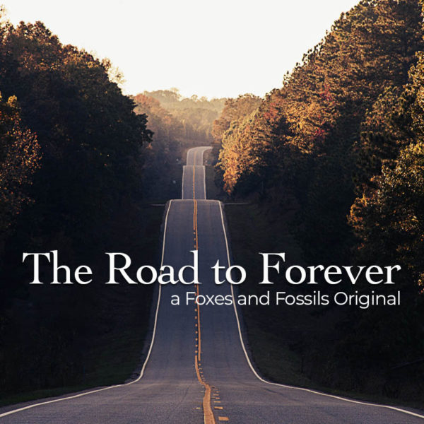 The Road to Forever Foxes and Fossils®
