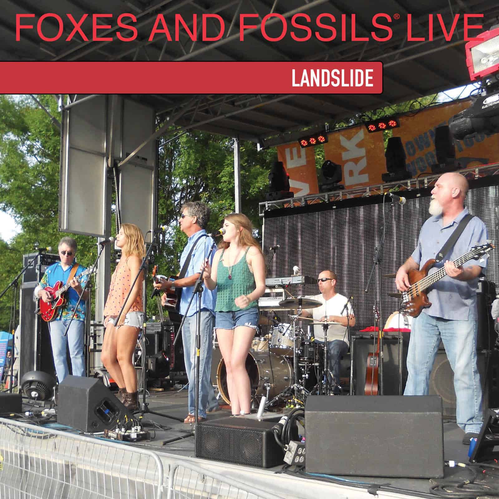 Landslide Track 8 from The Live Album Foxes and Fossils®