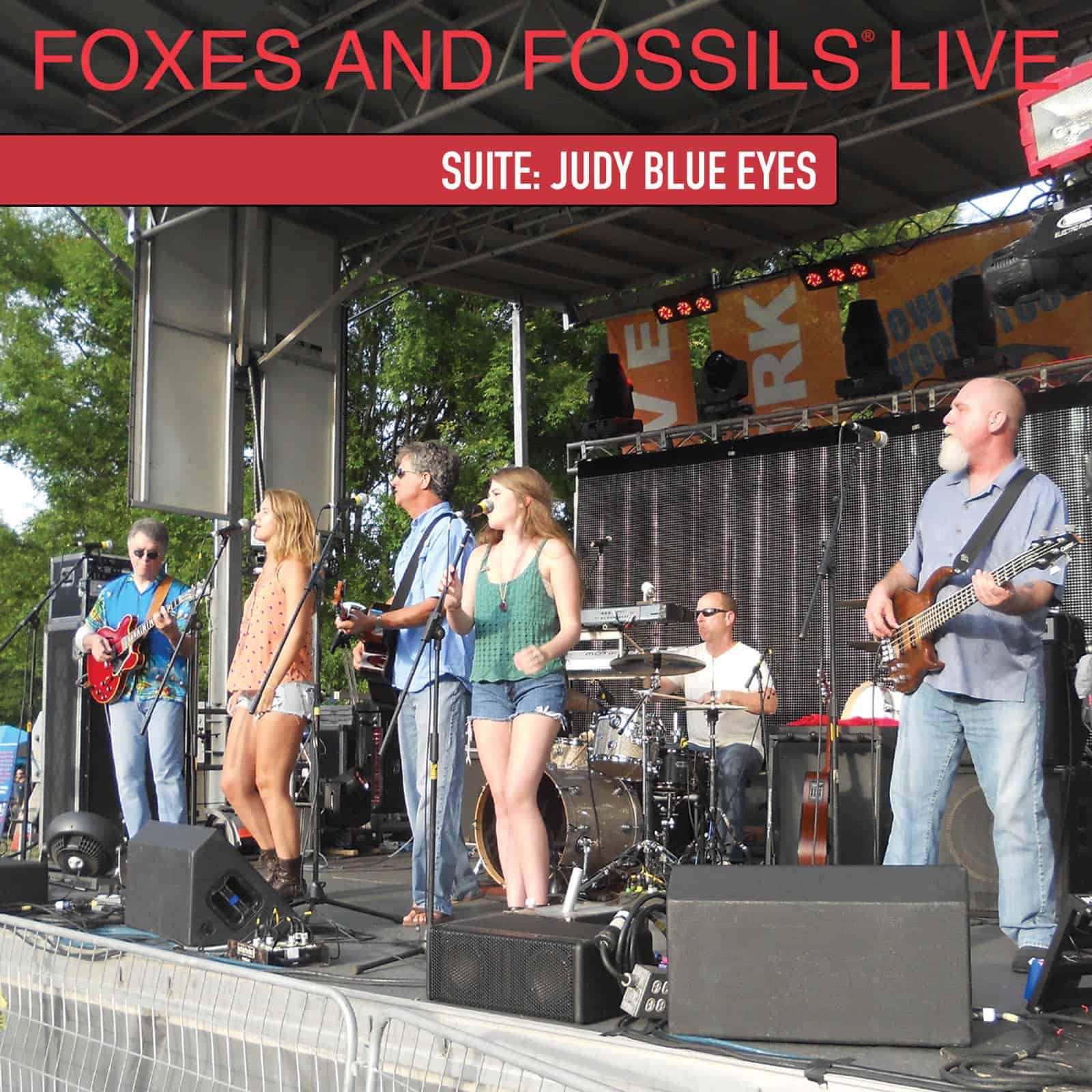 suite-judy-blue-eyes-track-18-from-the-live-album-foxes-and-fossils