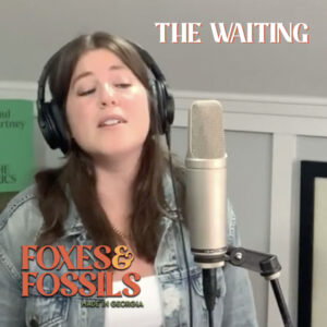 The Waiting - Cover by Foxes and Fossils